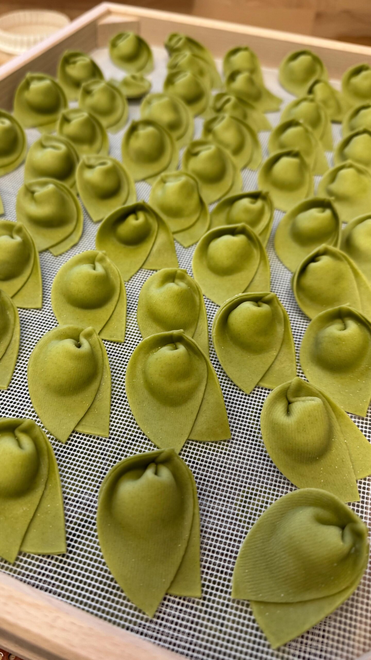 Tortelloni Ricotta Basilikum – Bild 2