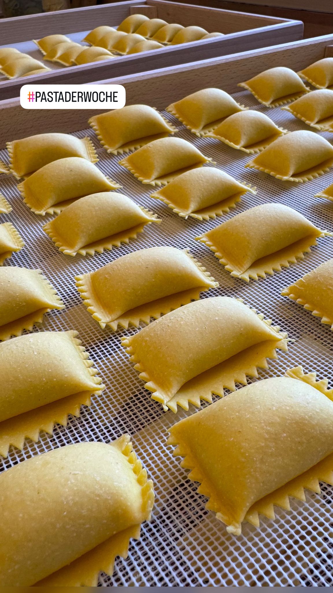 Agnolotti weißer Spargel