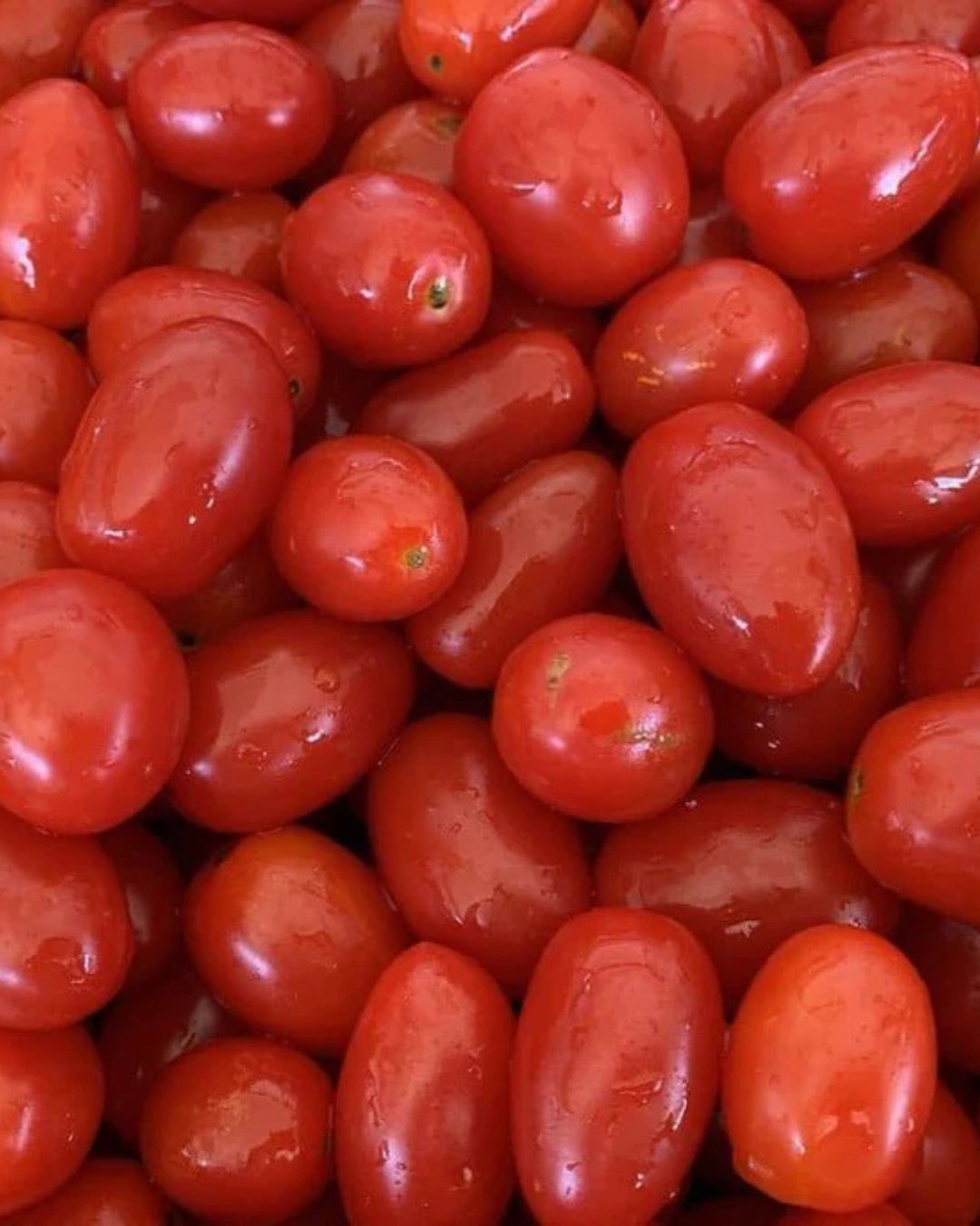 Bio-Datteltomaten in Salzlake – Bild 3